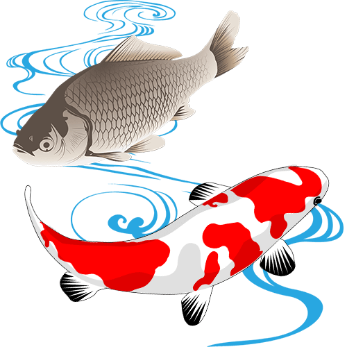 東和サーキット とわっぴぃ 第3位 フナやコイの稚魚